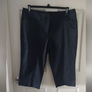 Worthington Modern Fit Crop Pants Size 14